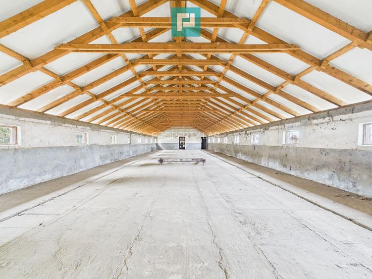 Hală pentru producție / fermă zootehnică  - Variaș - 2