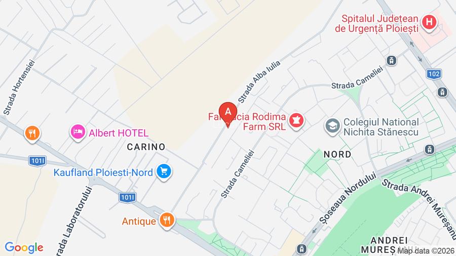 Vila cu 3 apartamente  la parter,etaj  si mansarda - 17