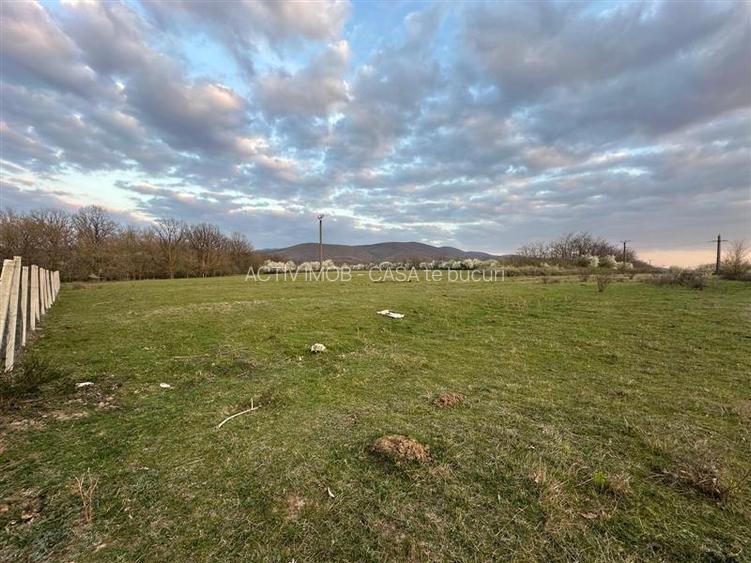 Bocsa Romana, 2 terenuri intravilan, 10.000 Mp.(59.900 Euro) si arabil, 80.000 M - 10