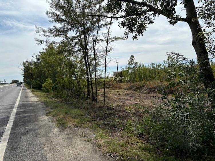 Teren de vanzare -32.130mp cu deschidere 105m la DN1, Ciolpani, cu PUZ. - 4