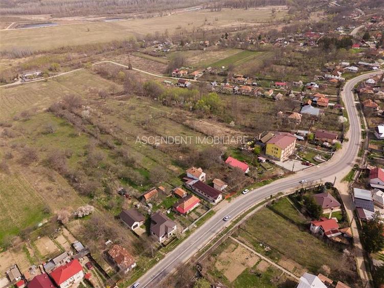 FILM! Casa  pe domeniu de 3.117 mp, Viperesti  Buzau - 20