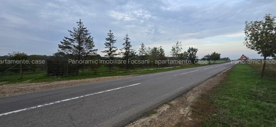 LIVADA  DE VANZARE FOCSANI-DUMBRAVITA  1,8  HA - 28