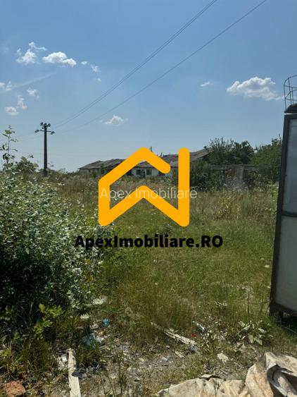 Hale Industriale de Vânzare Baicoi – 1100 mp + 800 mp, teren 5500 mp - 7