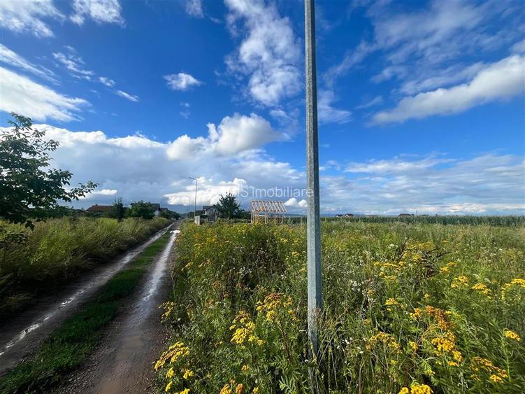 TEREN INTRAVILAN, 500 MP, HARMAN - 3