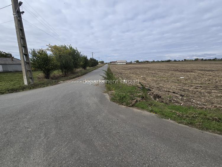 Amzacea- sat G. Scarisoreanu -Ferma zootehnica , 5,1 hectare - 4