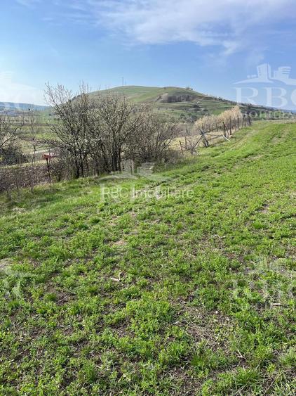 Teren in suprafata de 6300 mp extravilan in Garbau - 3