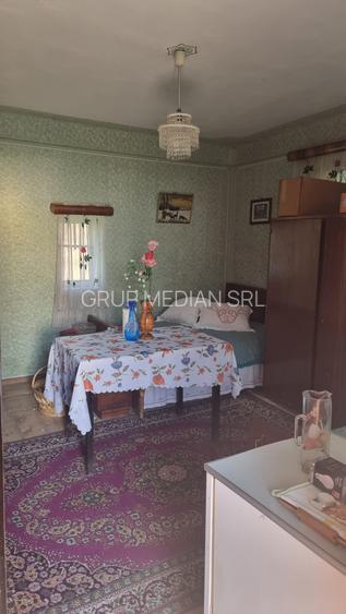 Casă cu teren 3800 mp,situată in com. Berislăvesti - 9