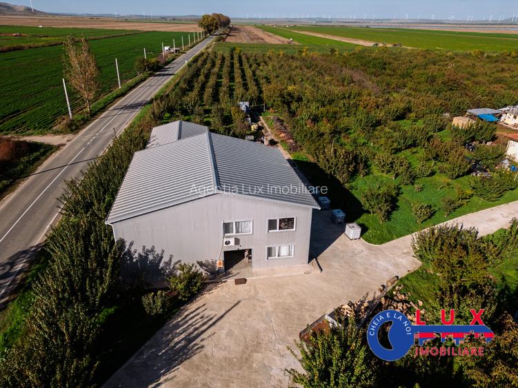 ID 7785 LIVADA SABANGIA DE VÂNZARE - 6