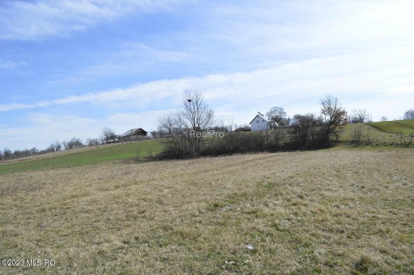 Suseni - Teren intravilan rezidential, suprafata 4000 mp! - 6