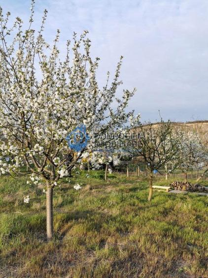 ZONA C.A.P.-TEREN INTRAVILAN ,608MP - 2