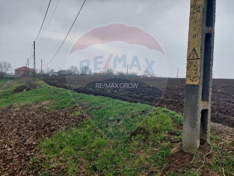 Teren agricol partial intravilan de vanzare in Filipesti jud. Bacau - 3