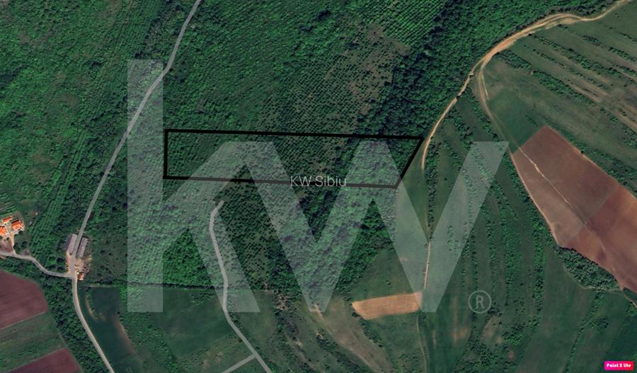 Teren Extravilan de vânzare, Hamba (Sibiu), 38.400 mp (3,84 ha), Pret competitiv - 2