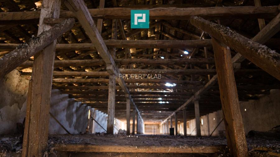 Hală industrială cu teren generos în Zărand, Arad - 19