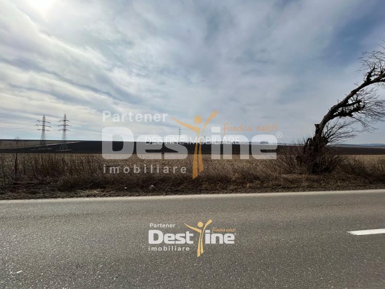 Teren de vanzare Caciulesti 10.000 Euro 1300mp - 4