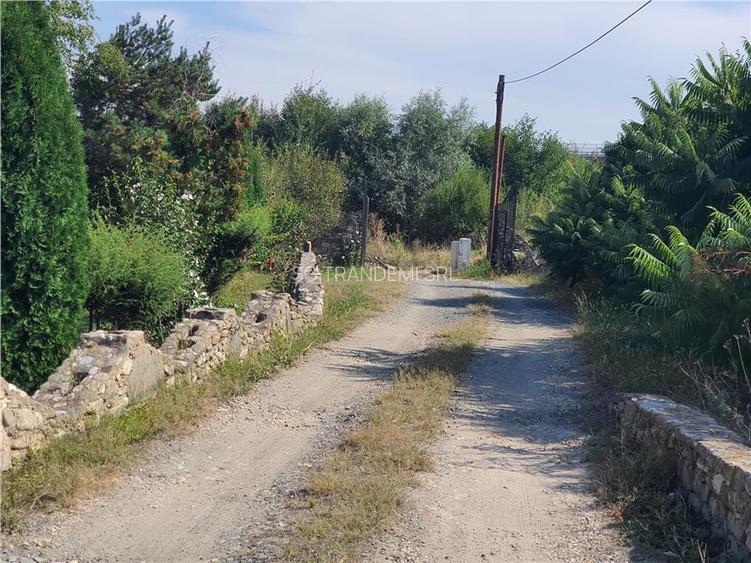 Teren intravilan Sacel -zona lacuri -ultimul lot de 900mp - 17