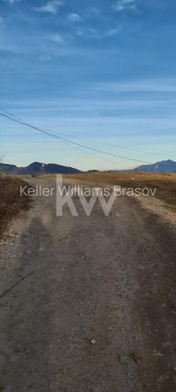 Teren de vanzare Sirnea- Comision 0% - 6