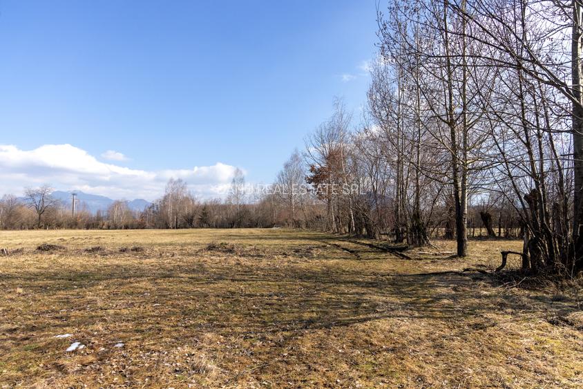 Bran Sohodol, 5967mp+teren bonus, intravilan constructii  P+E+M, comision0% - 7