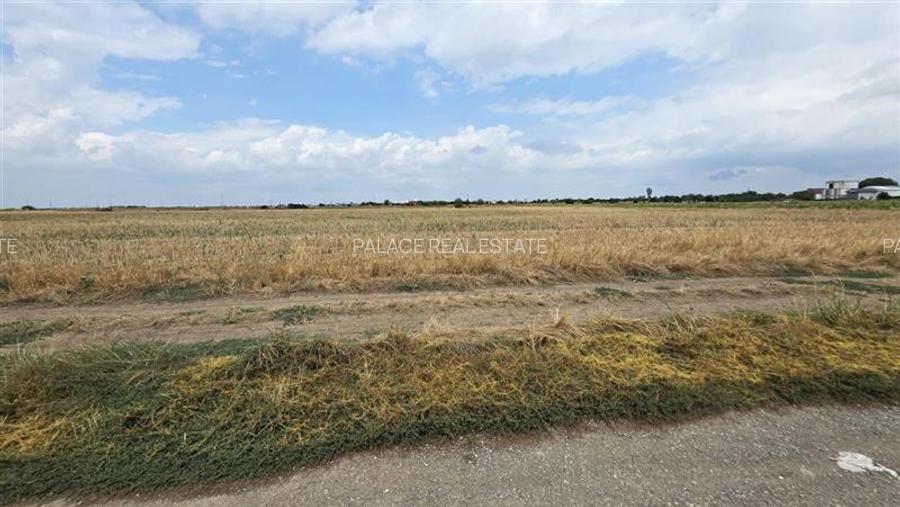 Oferta unica teren industrial 22.500 m Magurele Centura  Bucuresti - 3