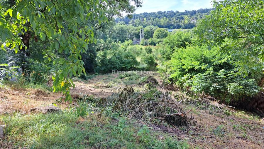 Teren pentru Casa/Duplex 1000mp Dambul Rotund/Cordos  - 4