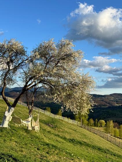 Teren intravilan (18066 mp) si extravilan (4566 mp) in sat Pestera, com Moieciu - 2