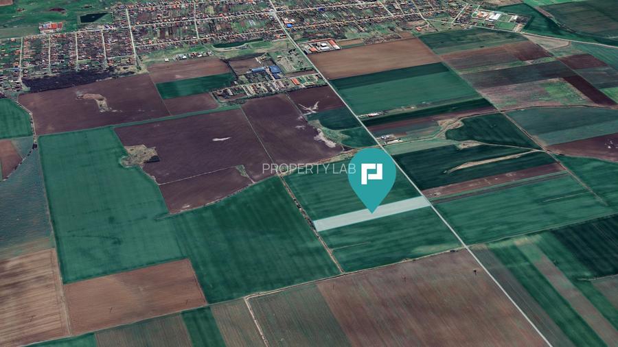 Teren 30.000 mp cu acces asfaltat – Peciu Nou - 4