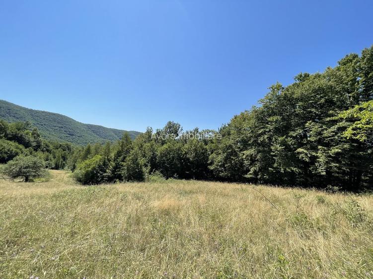 Teren Extravilan în mijlocul naturii. - 19