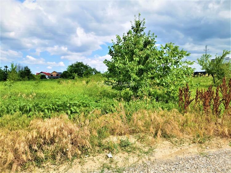 Teren constructii, cu utilitati. - 2