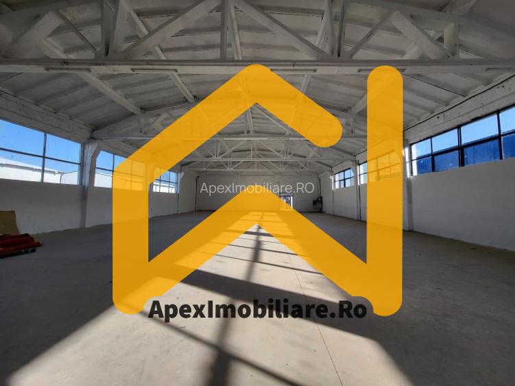 Hala Malu Rosu, Vest Ploiesti Xenia – 1800 mp, TIR, Parcare 50 Auto - 16