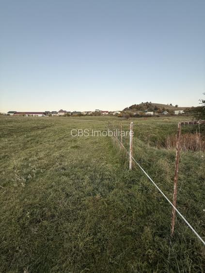 Teren extravilan de vanzare in Salicea 916mp+84mp drum necesita PUZ - 8