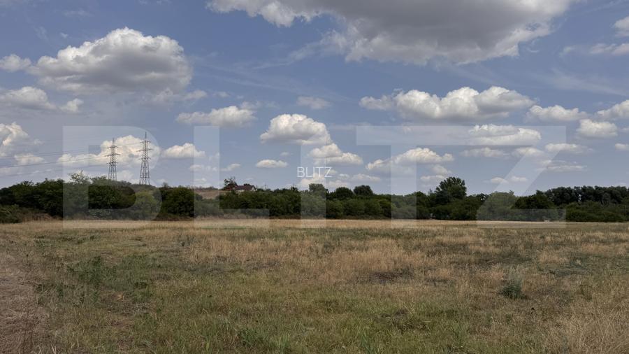 Teren EV si IV cu casa, 29.600 mp, utilitati si acces facil, Albesti - 5