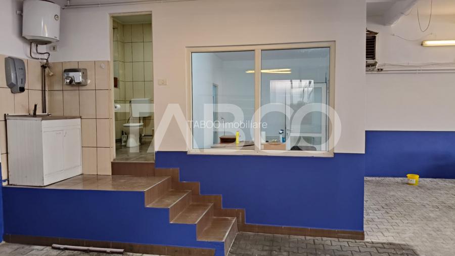 Spatiu industrial de 300 mp de inchiriat in Sebes Alba - 6