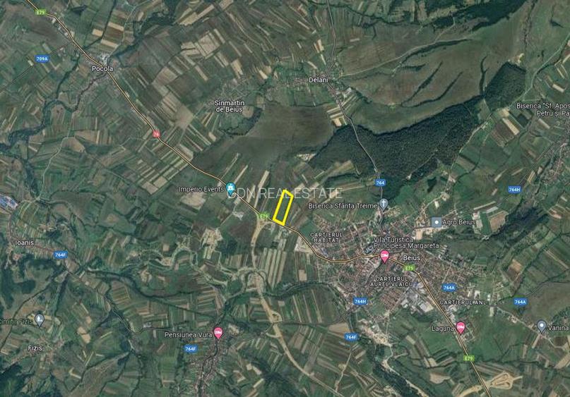 Teren extravilan - constructii, suprafata 49.933 mp, drumul E79, Beius - 3