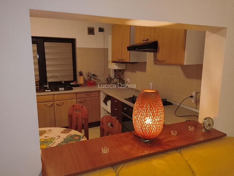 Vila Snagov, p+1,150mp, 3 dormitoare,aer conditionat,internet,cablu tv, piscina - 10