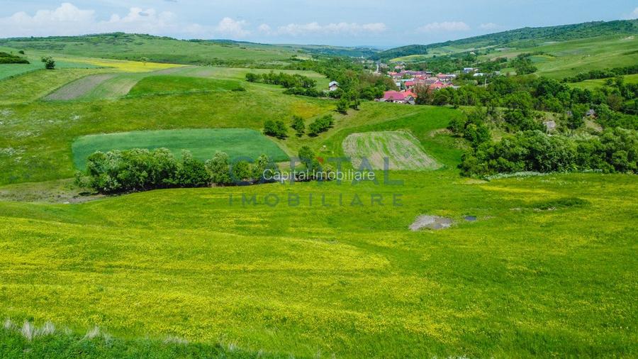 Teren intravilan Codor. Comision 0! - 8