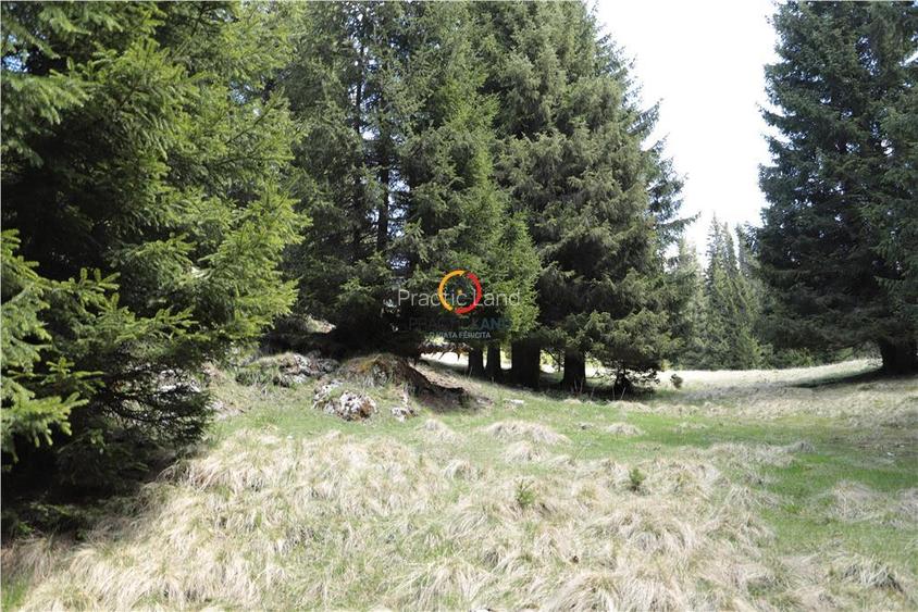 terenuri speciale Padina Busteni, sunt dispuse ca o veritabila coroana in jurul - 9