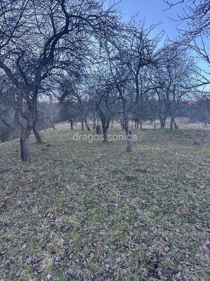 Teren de vanzare intravilan  Bran - 4