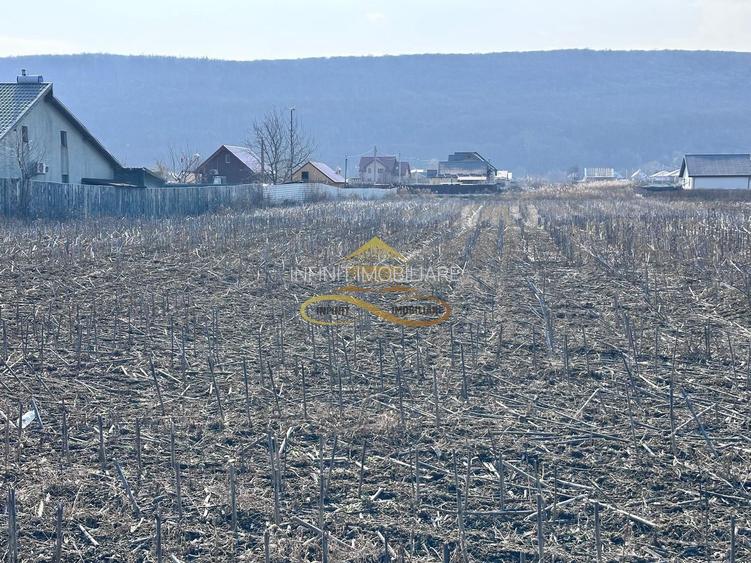 De vanzare teren intravilan Hemeius Bacau - 5