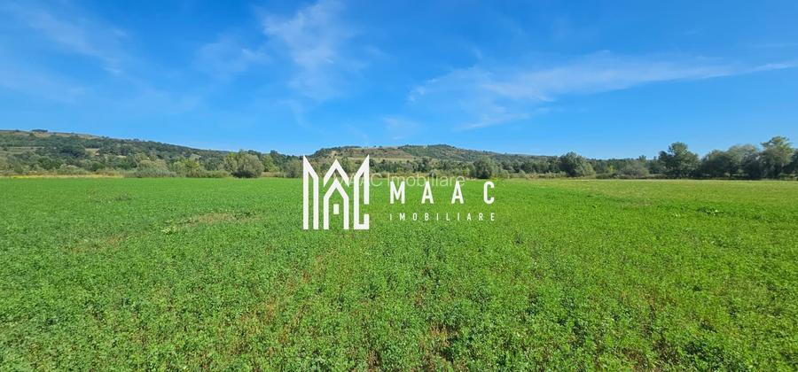 Teren 3.500 mp | Lângă canalul Oltului  | Porumbacu de Jos - 2