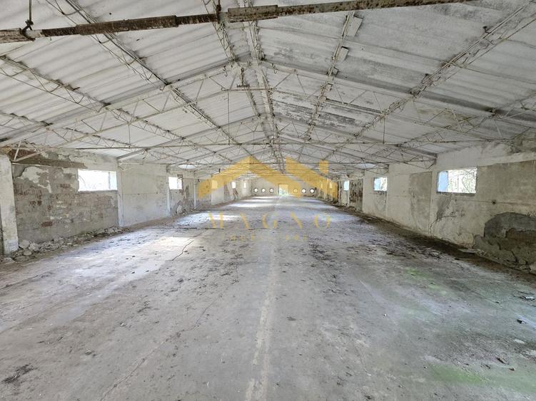 Hale industriale de vânzare – Arad, zona Exterior Vest / Calea Bodrog