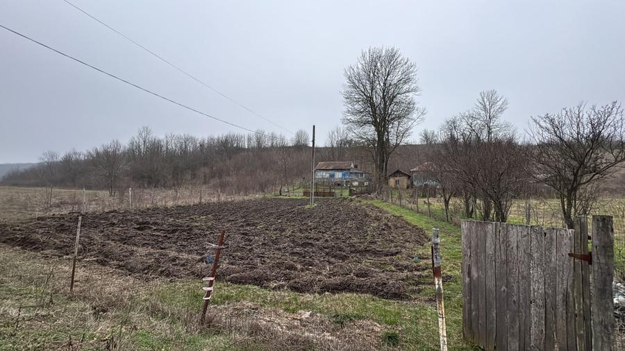 Teren 2.038 mp + Casă 50 mp de vânzare – Sat Luncsoru, Com. Ghercești