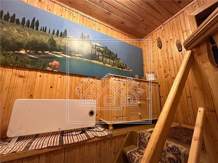 Casa de vacanta in Cartisoara, Transfagarasan - teren 971 mp, 8 camere - 24