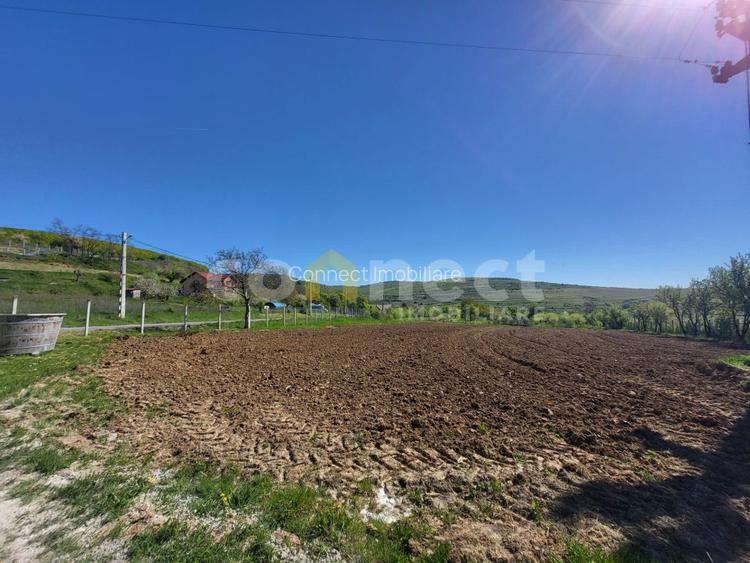 Teren intravilan de vânzare | 2942 mp | Ciurila, Cluj - 3