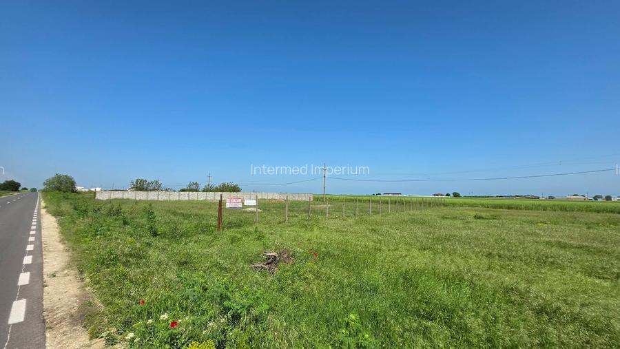 Teren extravilan 2000 mp – deschidere 44 ml la DN – Movilița - 5