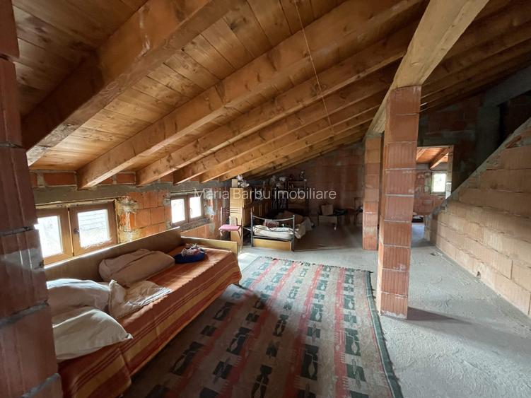 Vila P+M, an 2021, teren 3600 mp, D=50 m, Brancoveni - 20