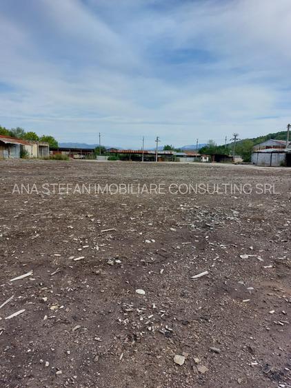 Curtea De Arges l Teren Intravilan+Cladire Birou l 20000MP l Post Trafo 350 KW l - 3