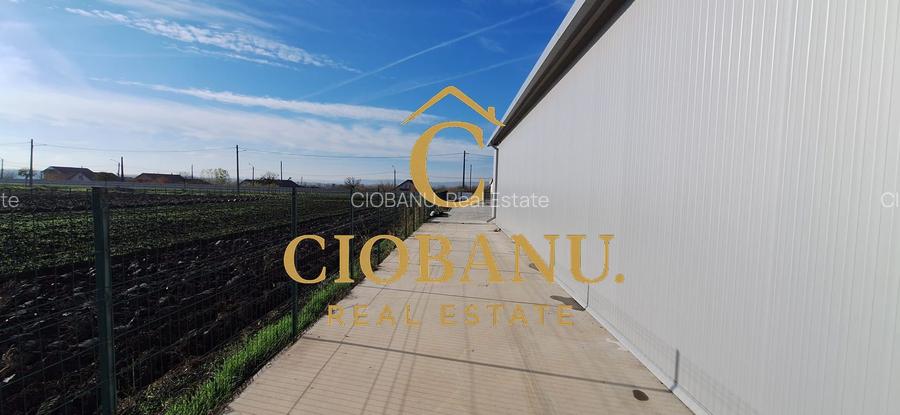 Hala de vanzare in Racarii de Jos - 14