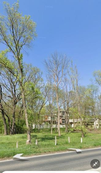 Teren intravilan 507 mp | Valu lui Traian | P+4E | Forest M - 3