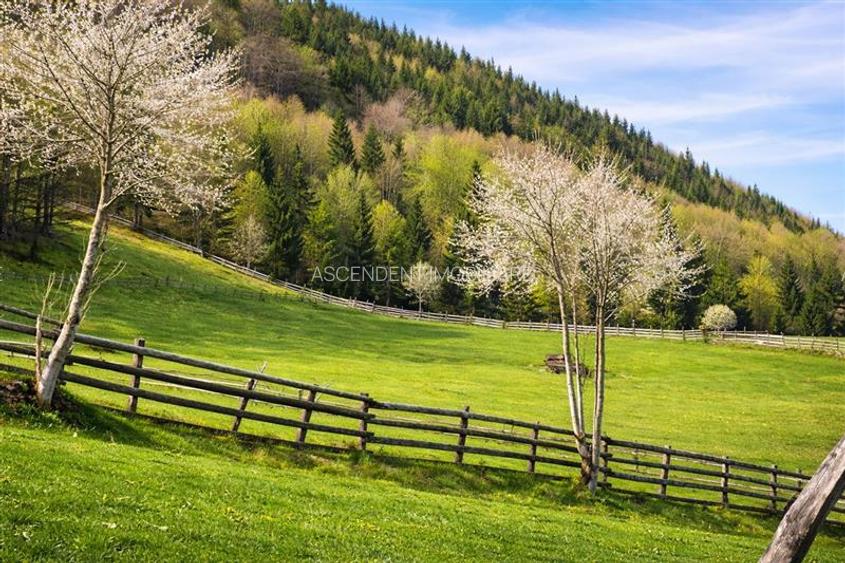 7.000 mp, pozitie spectaculoasa, fara vecini, Fundatica, Brasov - 5