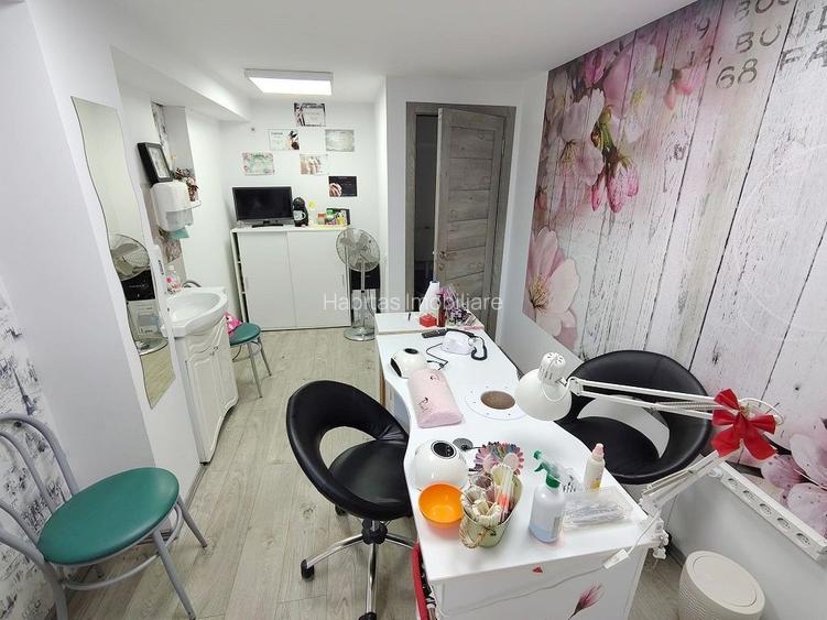 Casa individuala S+P+M cu teren 1723 mp, zona linistita, in Grigorescu - 14