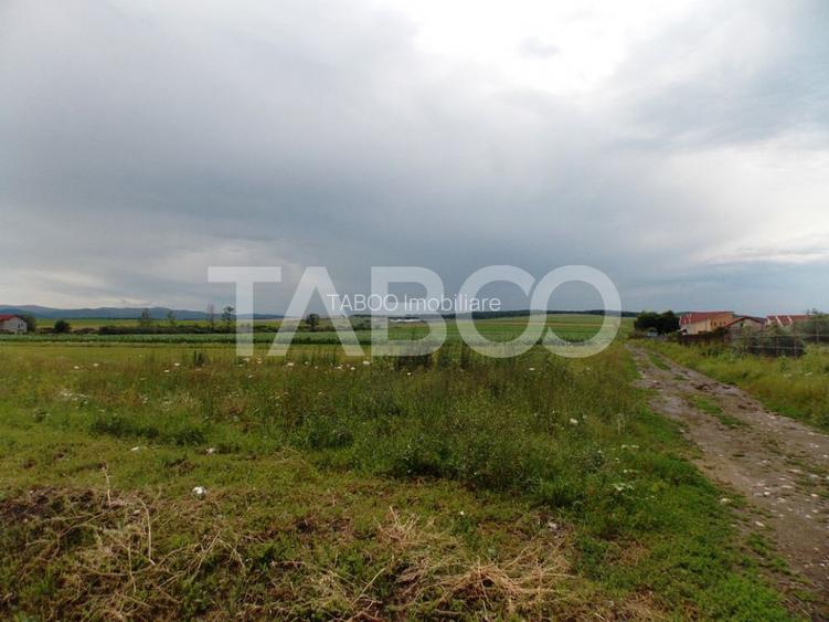 Teren de vanzare 10000 mp CF 107274 deschidere de 42 m in Sura Mica  - 5